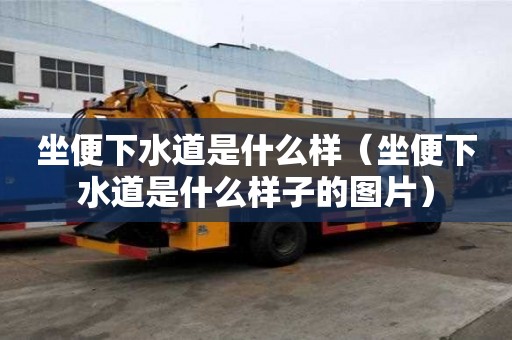 坐便下水道是什么樣（坐便下水道是什么樣子的圖片）