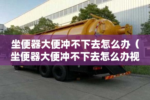 坐便器大便沖不下去怎么辦（坐便器大便沖不下去怎么辦視頻）