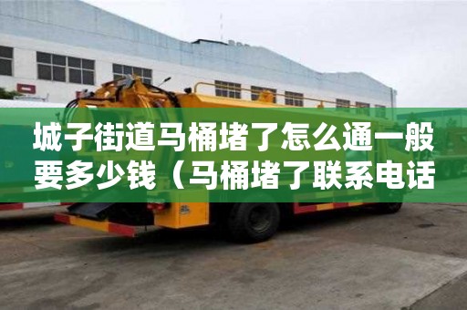城子街道馬桶堵了怎么通一般要多少錢（馬桶堵了聯系電話）