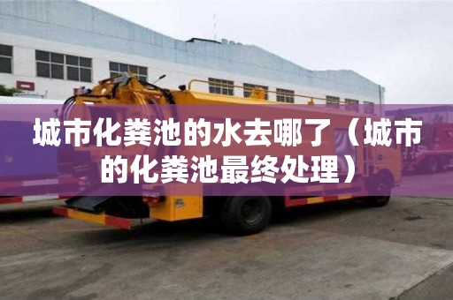 城市化糞池的水去哪了（城市的化糞池最終處理）
