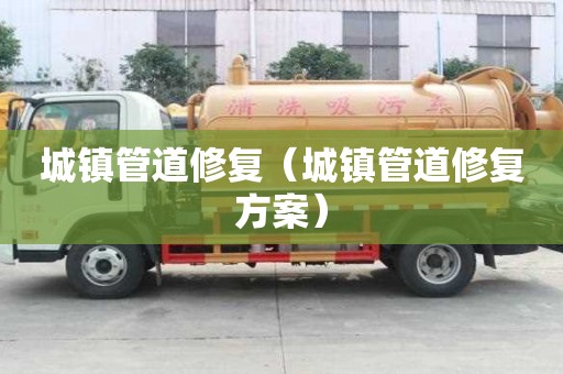 城鎮管道修復（城鎮管道修復方案）