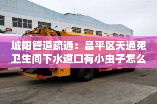 城陽管道疏通：昌平區天通苑衛生間下水道口有小蟲子怎么處理