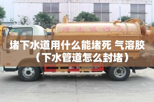 堵下水道用什么能堵死 氣溶膠（下水管道怎么封堵）