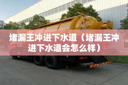 堵漏王沖進(jìn)下水道（堵漏王沖進(jìn)下水道會(huì)怎么樣）
