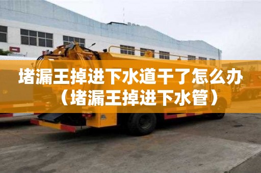 堵漏王掉進下水道干了怎么辦（堵漏王掉進下水管）