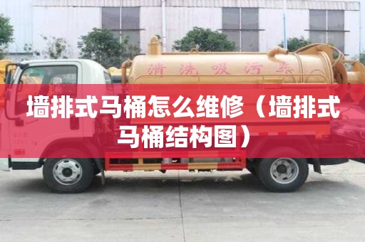 墻排式馬桶怎么維修（墻排式馬桶結構圖）