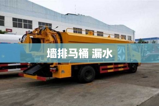 墻排馬桶 漏水