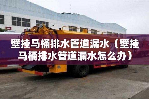 壁掛馬桶排水管道漏水（壁掛馬桶排水管道漏水怎么辦）