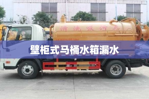 壁柜式馬桶水箱漏水 壁柜式馬桶水箱漏水