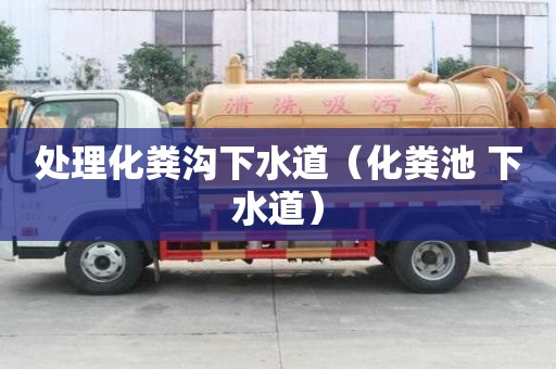 處理化糞溝下水道（化糞池 下水道）