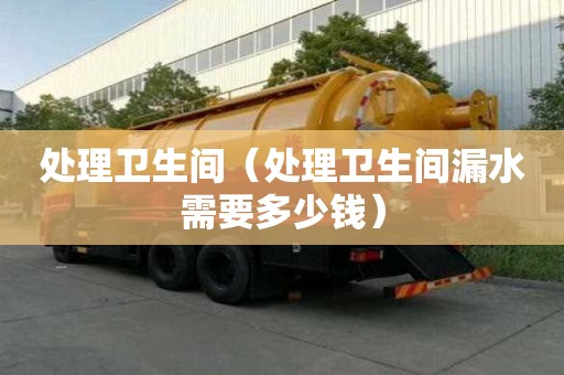 處理衛生間（處理衛生間漏水需要多少錢）