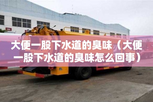 大便一股下水道的臭味（大便一股下水道的臭味怎么回事）
