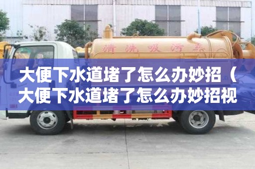 大便下水道堵了怎么辦妙招（大便下水道堵了怎么辦妙招視頻）