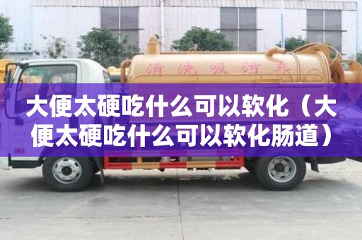 大便太硬吃什么可以軟化（大便太硬吃什么可以軟化腸道）
