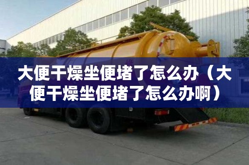 大便干燥坐便堵了怎么辦（大便干燥坐便堵了怎么辦啊）