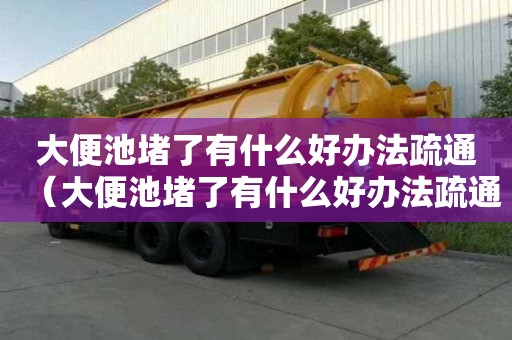 大便池堵了有什么好辦法疏通（大便池堵了有什么好辦法疏通馬桶）