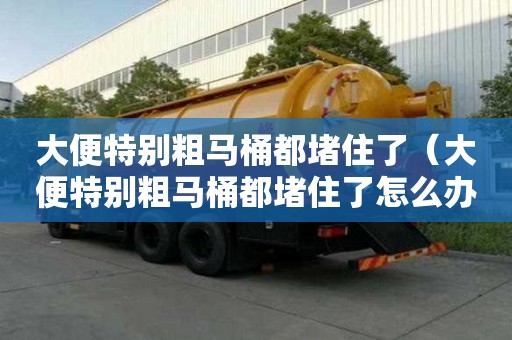 大便特別粗馬桶都堵住了(大便特別粗馬桶都堵住了怎么辦) 大便特別粗馬桶都堵住了(大便特別粗馬桶都堵住了怎么辦)