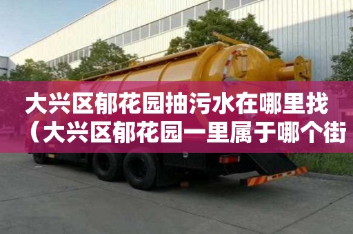 大興區(qū)郁花園抽污水在哪里找（大興區(qū)郁花園一里屬于哪個(gè)街道）