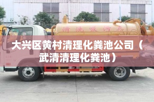 大興區(qū)黃村清理化糞池公司(武清清理化糞池) 大興區(qū)黃村清理化糞池公司(武清清理化糞池)