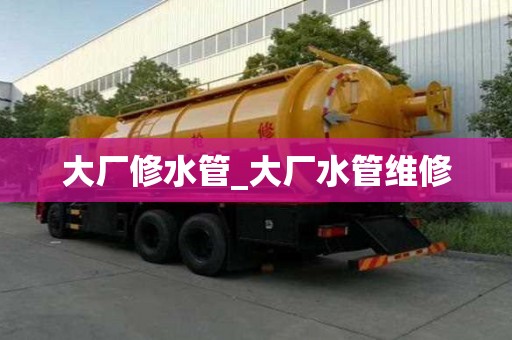 大廠修水管_大廠水管維修