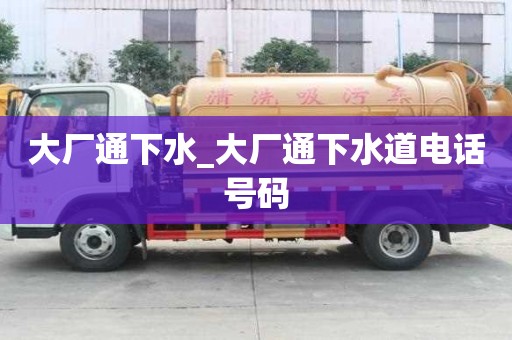 大廠通下水_大廠通下水道電話號碼 大廠通下水_大廠通下水道電話號碼