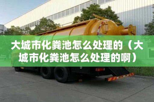 大城市化糞池怎么處理的（大城市化糞池怎么處理的啊）