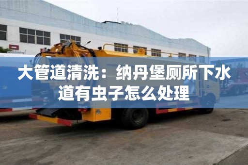 大管道清洗：納丹堡廁所下水道有蟲子怎么處理