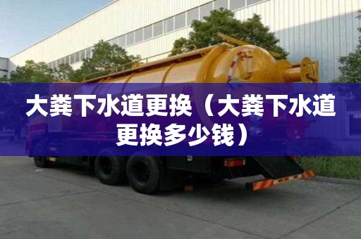 大糞下水道更換（大糞下水道更換多少錢）