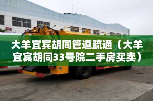大羊宜賓胡同管道疏通（大羊宜賓胡同33號院二手房買賣）