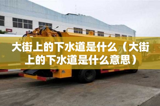 大街上的下水道是什么（大街上的下水道是什么意思）