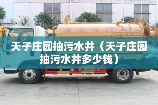 天子莊園抽污水井（天子莊園抽污水井多少錢）