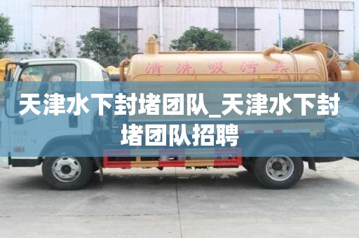 天津水下封堵團隊_天津水下封堵團隊招聘 天津水下封堵團隊_天津水下封堵團隊招聘