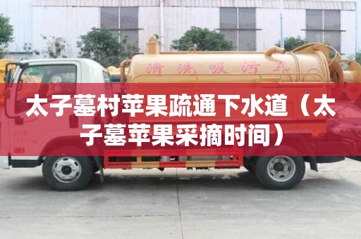 太子墓村蘋果疏通下水道（太子墓蘋果采摘時間）
