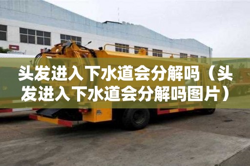 頭發進入下水道會分解嗎（頭發進入下水道會分解嗎圖片）