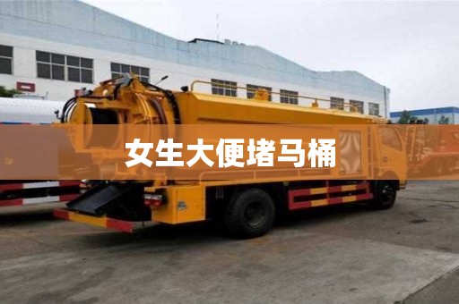 女生大便堵馬桶