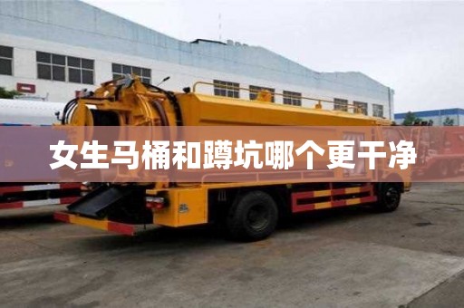 女生馬桶和蹲坑哪個更干凈