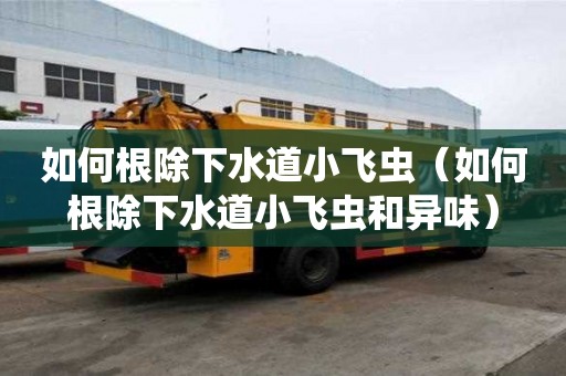 如何根除下水道小飛蟲（如何根除下水道小飛蟲和異味）