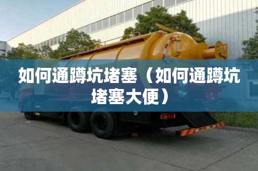 如何通蹲坑堵塞（如何通蹲坑堵塞大便）