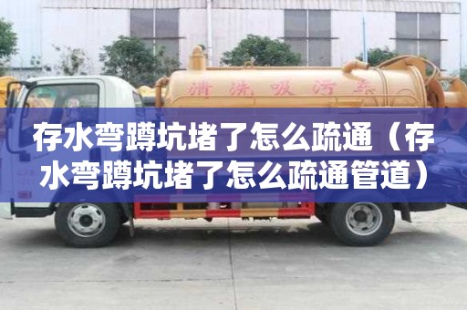 存水彎蹲坑堵了怎么疏通（存水彎蹲坑堵了怎么疏通管道）