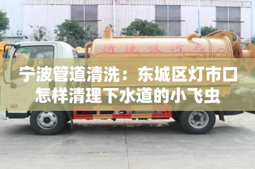寧波管道清洗：東城區燈市口怎樣清理下水道的小飛蟲