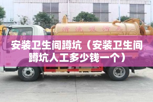 安裝衛生間蹲坑（安裝衛生間蹲坑人工多少錢一個）