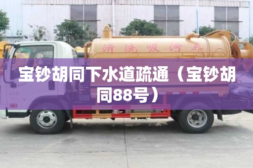 寶鈔胡同下水道疏通（寶鈔胡同88號）