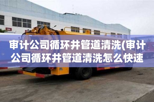 審計公司循環井管道清洗(審計公司循環井管道清洗怎么快速)