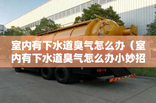 室內有下水道臭氣怎么辦（室內有下水道臭氣怎么辦小妙招）