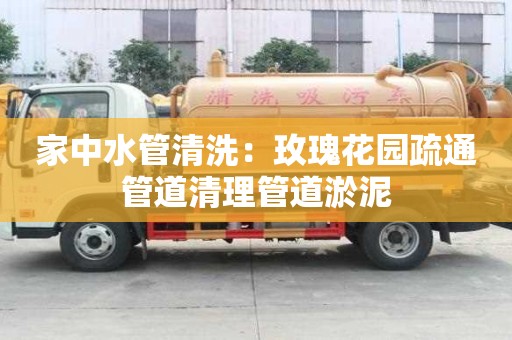 家中水管清洗：玫瑰花園疏通管道清理管道淤泥