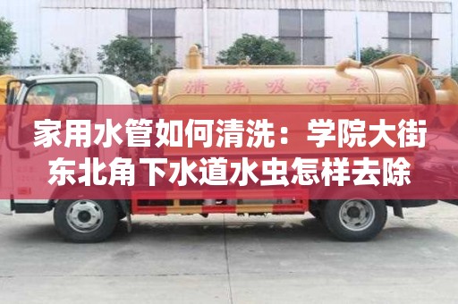 家用水管如何清洗：學院大街東北角下水道水蟲怎樣去除