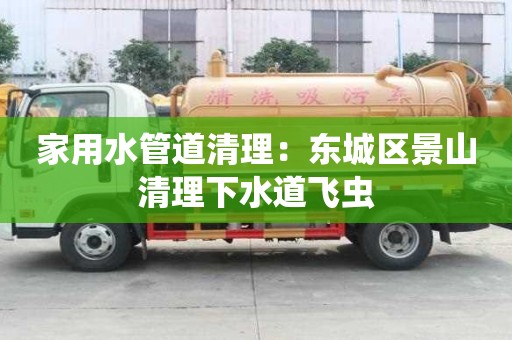 家用水管道清理：東城區景山清理下水道飛蟲
