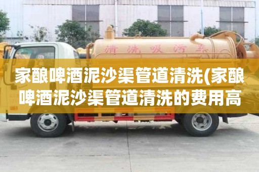 家釀啤酒泥沙渠管道清洗(家釀啤酒泥沙渠管道清洗的費用高嗎)