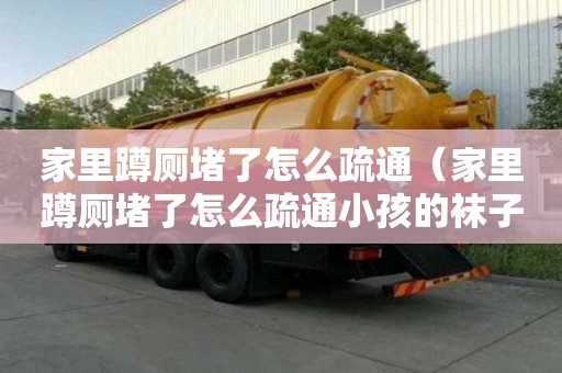 家里蹲廁堵了怎么疏通（家里蹲廁堵了怎么疏通小孩的襪子短褲掉進去了）