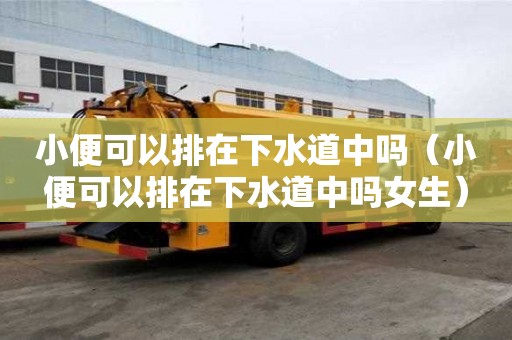 小便可以排在下水道中嗎（小便可以排在下水道中嗎女生）